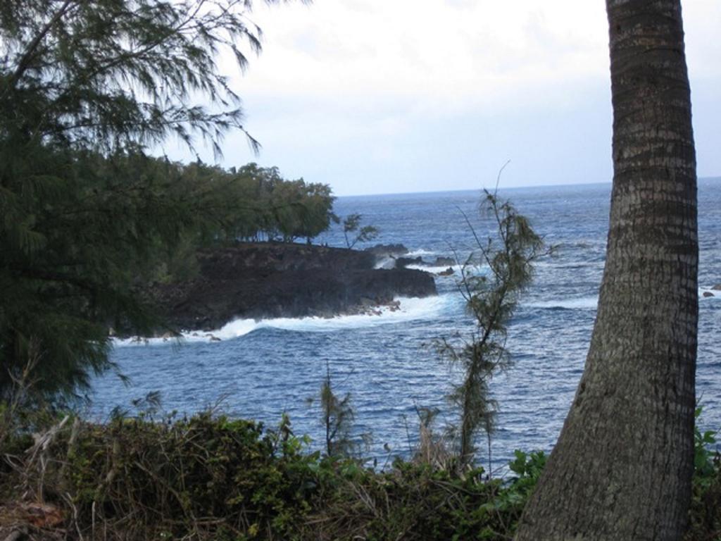 Coconut Palms Vacation Rental Near Lava Fields And Beaches Kehena Экстерьер фото