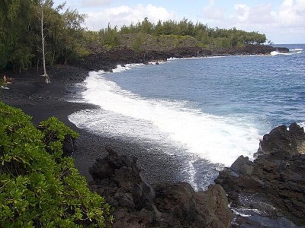 Coconut Palms Vacation Rental Near Lava Fields And Beaches Kehena Экстерьер фото