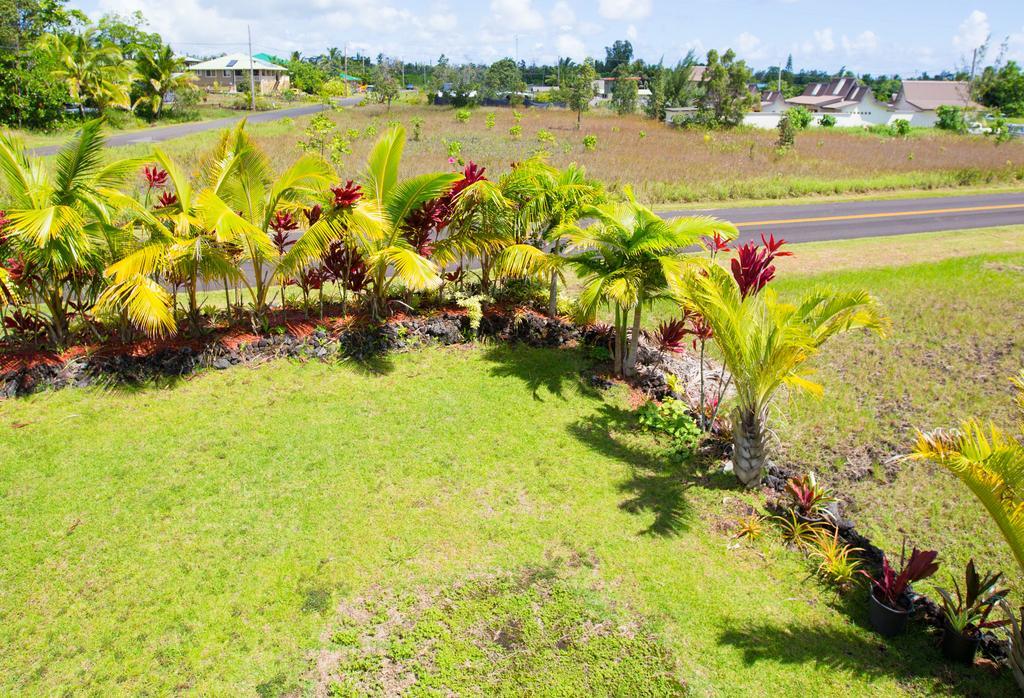 Coconut Palms Vacation Rental Near Lava Fields And Beaches Kehena Экстерьер фото