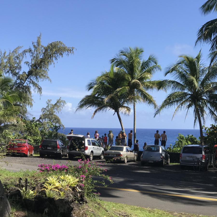 Coconut Palms Vacation Rental Near Lava Fields And Beaches Kehena Экстерьер фото