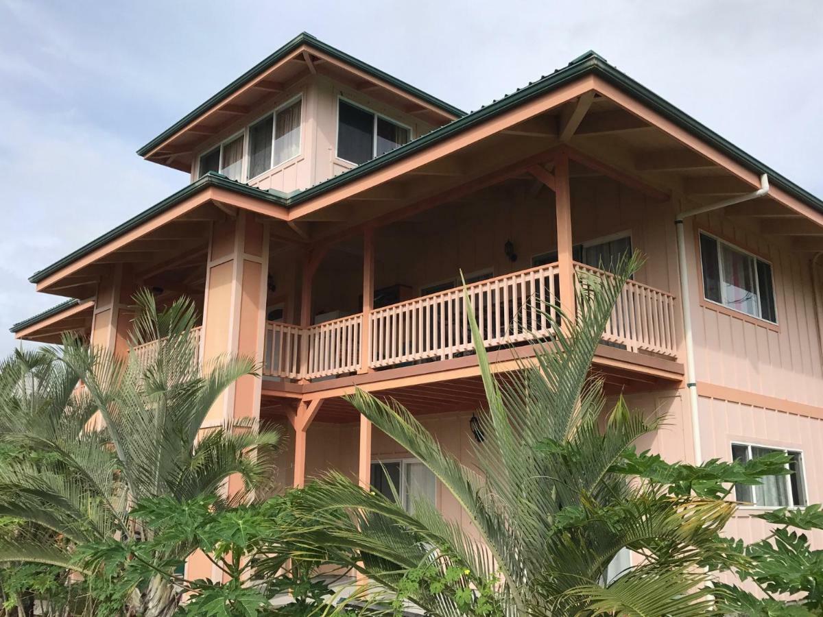 Coconut Palms Vacation Rental Near Lava Fields And Beaches Kehena Экстерьер фото